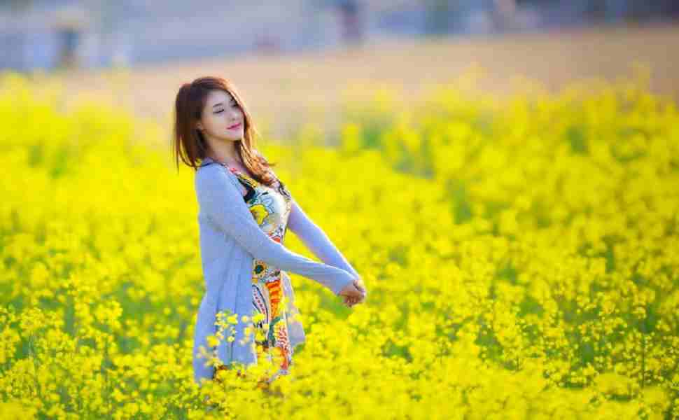 站群seo怎么运营