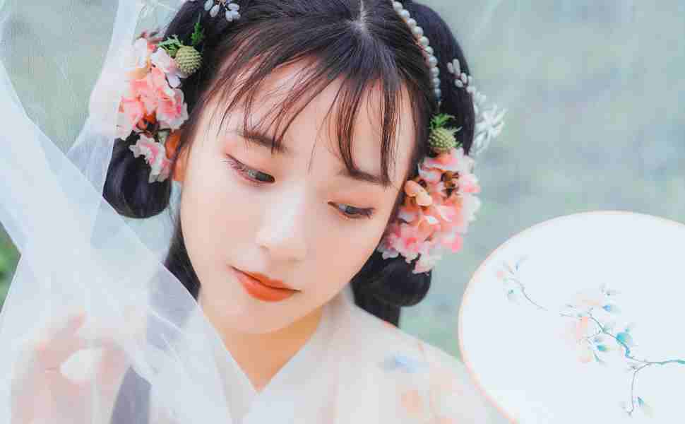 站群教程教学视频教程